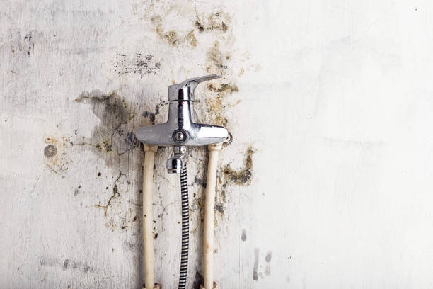 Best Mold Damage Repair  in Hurstbourne Acres, KY
